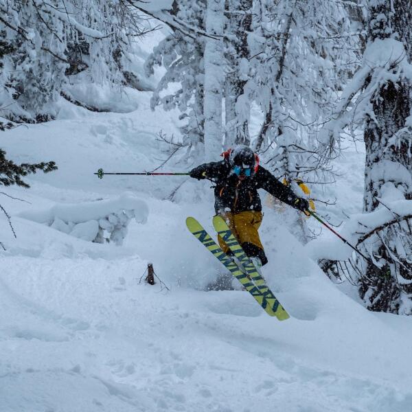 Instructor profile picture